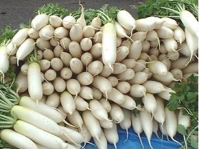 daikon.JPG